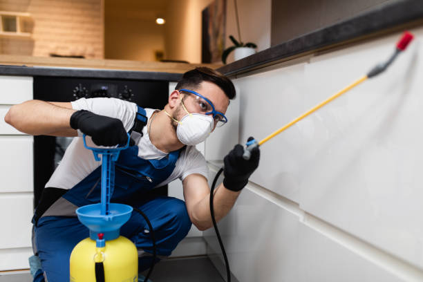 Best Residential Pest Control  in Valparaiso, FL