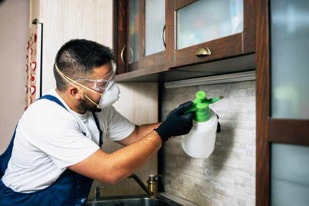 Best Pest Control for Homes  in Valparaiso, FL