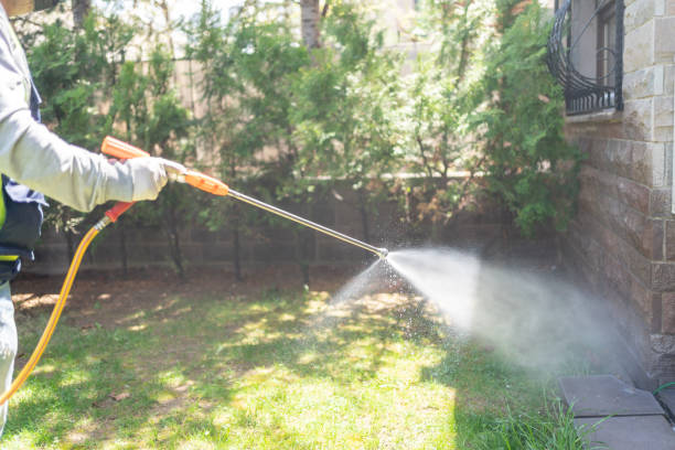 Professional Pest Control in Valparaiso, FL