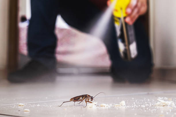 Best Affordable Pest Control Services  in Valparaiso, FL